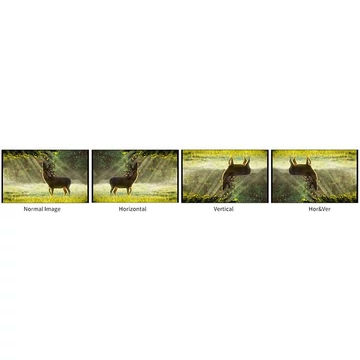 CineWare FlyCam CW-S60N