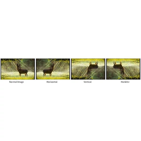 CineWare FlyCam CW-S60N
