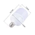 E27 LED 25W 5500K izzó
