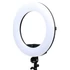 CineWare RING LED 96W - 5500K