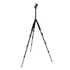 CW-A2541 Tripod PH-15H Gömbfejjel 173cm