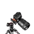Manfrotto Befree Advanced csatos lábzár +gömbfej Sony Alpha kamerákhoz MKBFRLA-BH