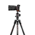 Manfrotto Befree GT Karbon tekerős lábzár+gömbfej Sony Alpha kamerához MKBFRTC4GTA-BH