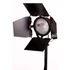 Red head 800W dimmerrel